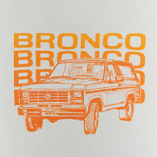 Image result for Medium Gray 1980 Bronco