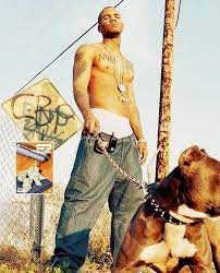 The Game 2004 Hip Hop Poster Hip Hop World Hip Hop Classics