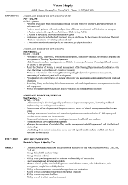 How to write nurse supervisor resume. Assistant Director Nursing Resume Samples Velvet Jobs