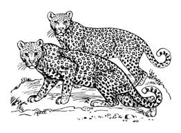 Or go to the answers. Jungle Coloring Pages Hubpages