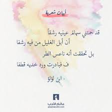 ابن لؤلؤ عالم الأدب شعرعربي life words words quotes