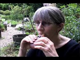 Pura Sepa Radio playing