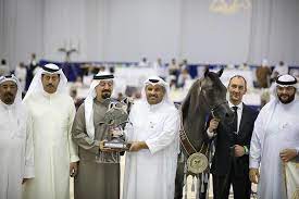 pin on arabian horses news