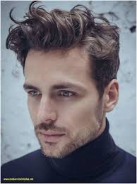 How To Make Hair Silky For Mens 2020 Erkek Sac Modelleri Asyali Sac Kalin Saclar
