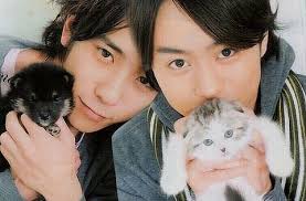 みんな可愛い 磁石コンビ 82444642 の画像 見やすい 探しやすい 待受 デコメ お宝画像も必ず見つかるプリ画像 cats pics animals