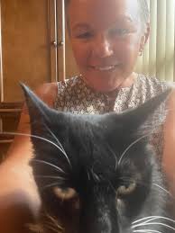 This cat is very territorial over its owners house and has to be there  every step of the way!! #realtorlife