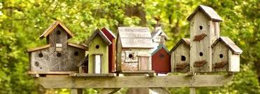 Cypress village is a luxury senior living community in jacksonville, florida, offering elegant accommodations,. Young Hands Woodworking Bird House Florida School Of Woodwork Tampa July 25 2021 Allevents In