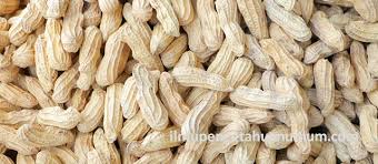 We did not find results for: Kandungan Gizi Kacang Tanah Dan Manfaat Kacang Tanah Bagi Kesehatan Ilmu Pengetahuan Umum