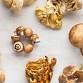 Meatless Meals: Mastering Mushrooms