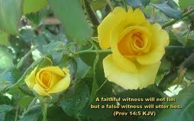 Check spelling or type a new query. Bible Quotes About Flowers Quotesgram