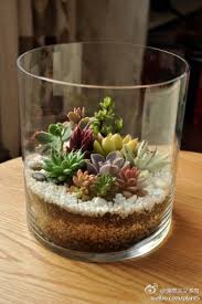 How To Change The Color Of Your Hydrangeas Like Magic Jardin Bocal Terrarium Pour Plantes Grasses Succulentes
