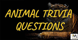 This covers everything from disney, to harry potter, and even emma stone movies, so get ready. Best Animal Trivia Questions And Answers Quesmania