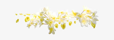 We did not find results for: Testimonials From My Clients Madeline Rose Yellow Flower Divider Transparent Png 600x212 Free Download On Nicepng