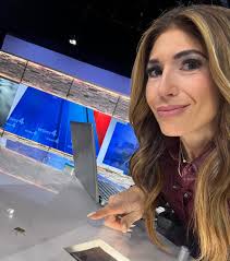 What are these harassing insects in Denver Colorado?