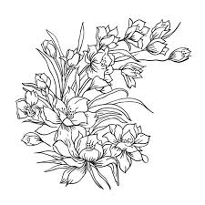 Cool Drawing Glass Painting Outline Designs Of Flowers With Colour The Campbells Possibilities 736x709 pictures outline painting, 10 3. drawing glass painting outline designs