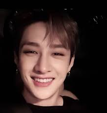 Bang Chan Photo Dump and Fan Appreciation