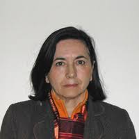 PDF) Fluorescein diacetate hydrolysis, respiration and microbial biomass in  freshly amended soils