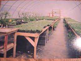 Filmy 4k i hd dostępne natychmiast na dowolne nle. Countryside Greenhouse Home Facebook