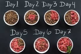 This handy guide will help you figure out how much you should be feeding your dog so you can feel more confident that you're not overfeeding, and. Purchase Pitbull Raw Food Diet Up To 71 Off