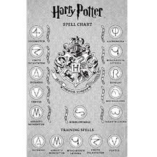 Buy Harry Potter Feature Wizard Wand For Kids Online At Low Prices In India Amazon In