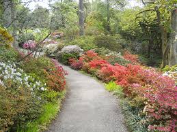 Bodnant Gardens Wales Garden Welsh Countryside Castle Garden