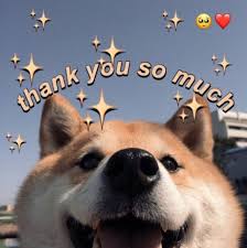  Pin Oleh Arlen Flores Di Art Humor Hewan Lucu Gambar Anjing Lucu Humor Lucu
