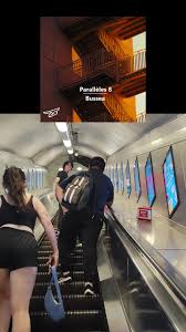 Image result for Bussea