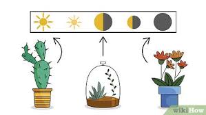 Then add a layer of compost. How To Plant Flowers 13 Steps With Pictures Wikihow