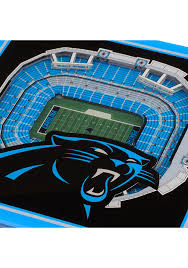 Carolina Panthers 3d Stadium View Coaster 6860432