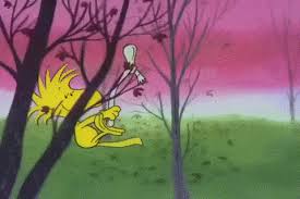 Find gifs with the latest and newest hashtags! A Charlie Brown Thanksgiving Gifs Primo Gif Latest Animated Gifs