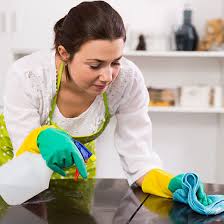 Cockroach, mosquito, bedbug, honeybee, wasps. Bond Cleaning Carpet Cleaning Pest Control From 129