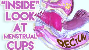 The key is to 'fold' your cup to make it as small as possible trust us on this before you insert it. An Inside Look At Menstrual Cups Youtube