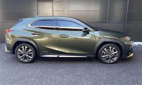 Image result for Nori Green 2019 UX