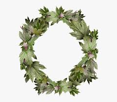 We did not find results for: Leaves Wreath Frame Border Gambar Bingkai Daun Melingkar Hd Png Download Kindpng