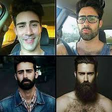 Pin On Beard Memes