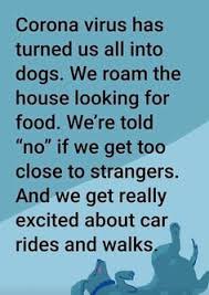 Before you go on and read the quotes, we genuinely hope that you and your loved ones are safe and healthy. 820 Christmas Letters Ideas In 2021 Christmas Quotes Christmas Poems Bones Funny