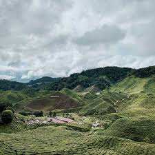 Find and book pahang accommodation, hotels & pahang tours packages 2021 jun jun 2021. Pahang Selected Hoptale Trips Things To Do Trip Ideas