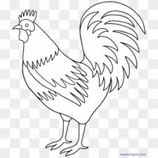 Gambar mewarnai untuk anak paud, tk dan sd sebagai contoh cara menggambar dan mewarnai. Rooster Art Gambar Ayam Jago Kartun Hd Png Download 661x800 2896244 Pngfind
