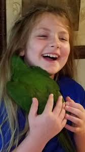 Remember this Severe Macaw! It is the sweetest little thing! Ready for the  perfect home. YES AVAILABLE