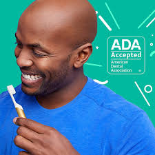 quip Adult Electric Toothbrush