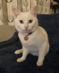 UPDATE: Thanks for keeping eyes open Gwyn has been found 😃