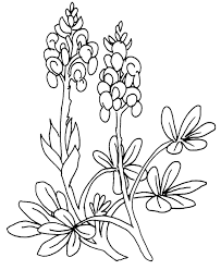 There are tons of great resources for free printable color pages online. Tpwd Kids Color The Attwater S Prairie Chicken