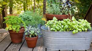 Container gardening has so many advantages over the traditional practice of growing in the ground. 40 Small Garden Ideas Small Garden Designs