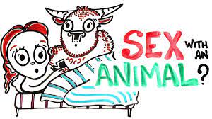 Human sexing with animals