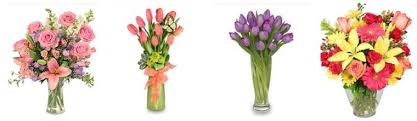 The busy bee flowers pueblo.co. The 8 Best Options For Flower Delivery In Pueblo Colorado 2021