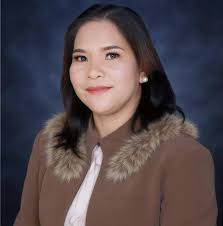 Gyros and Fries! 🤤🥙🍟