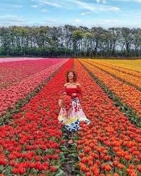 Bachelorette flower crowns for a girls day at deep water vineyard. Horst Wholesale Florist Posts Facebook