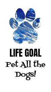 20 Free Dog Wallpapers I Phone And Android 20 Hd Sized Homescreen Wallpaper Dog Pictures Dog Wallpaper Homescreen Wallpaper Homescreen