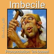Imbecile Word Of The Day Word Of The Day Words Vocabulary