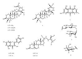 Image result for Uapaca guineensis